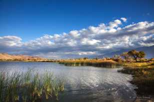 Diaz Lake-8665 Diaz Lake-8665